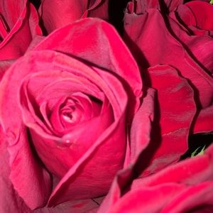 Meet your Posher, Faith